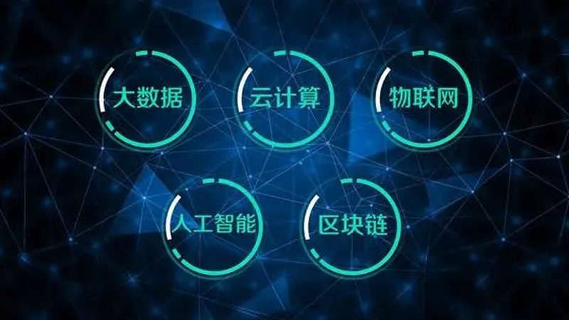 数据服务公司服务项目差异解析